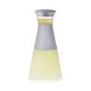 Glass FREEZE Carafe in Gray by HOST