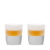 Glass FREEZE Whiskey Glass in Gray (set of two) by HOST