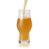 IPA Beer Glasses, Set of 4 by True