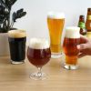 Beer Tasting Kit Set of 4 by True